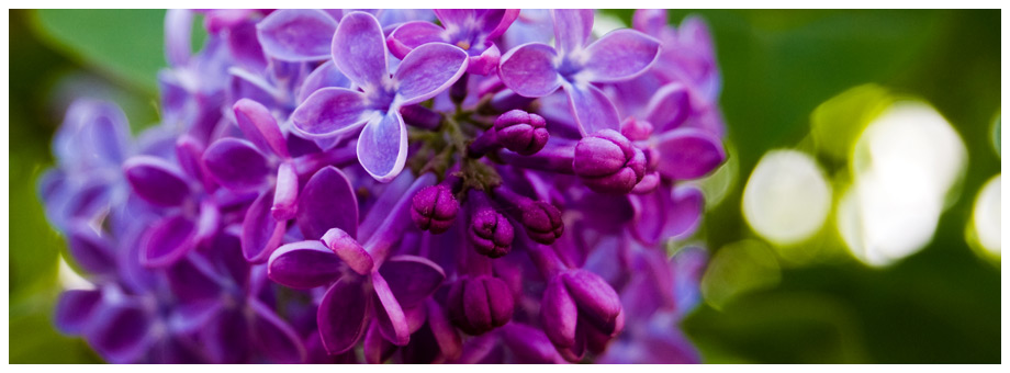 Imageslider